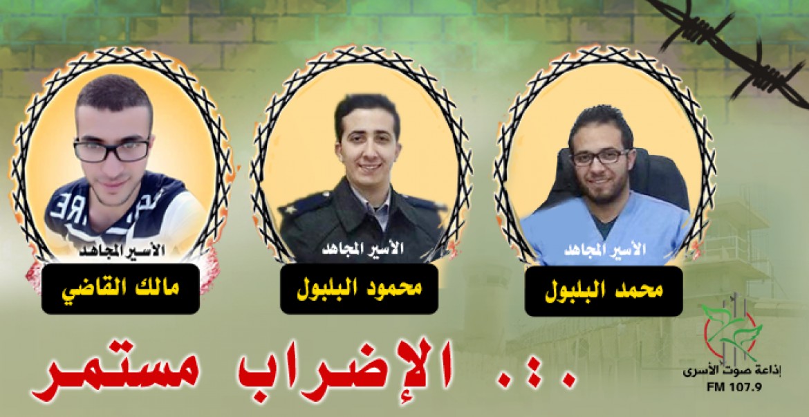 الاسرى المضربين