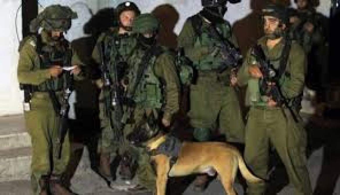 حملة اعتقالات واسعة بالضفة