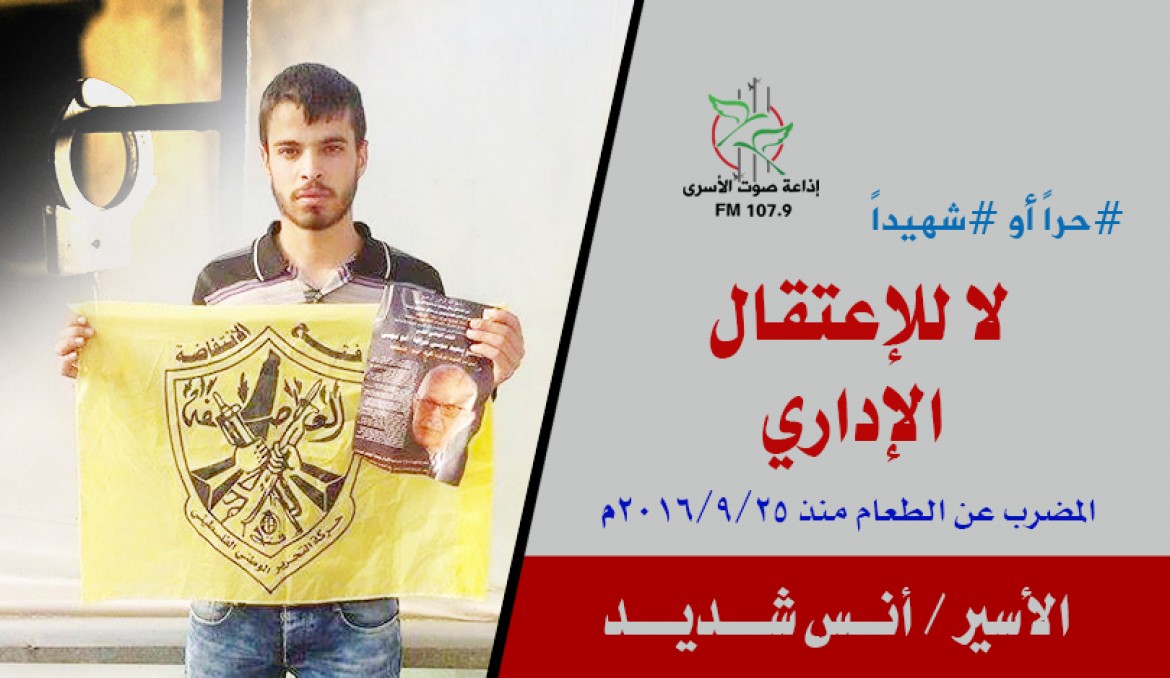 الأسير / أنس شديد