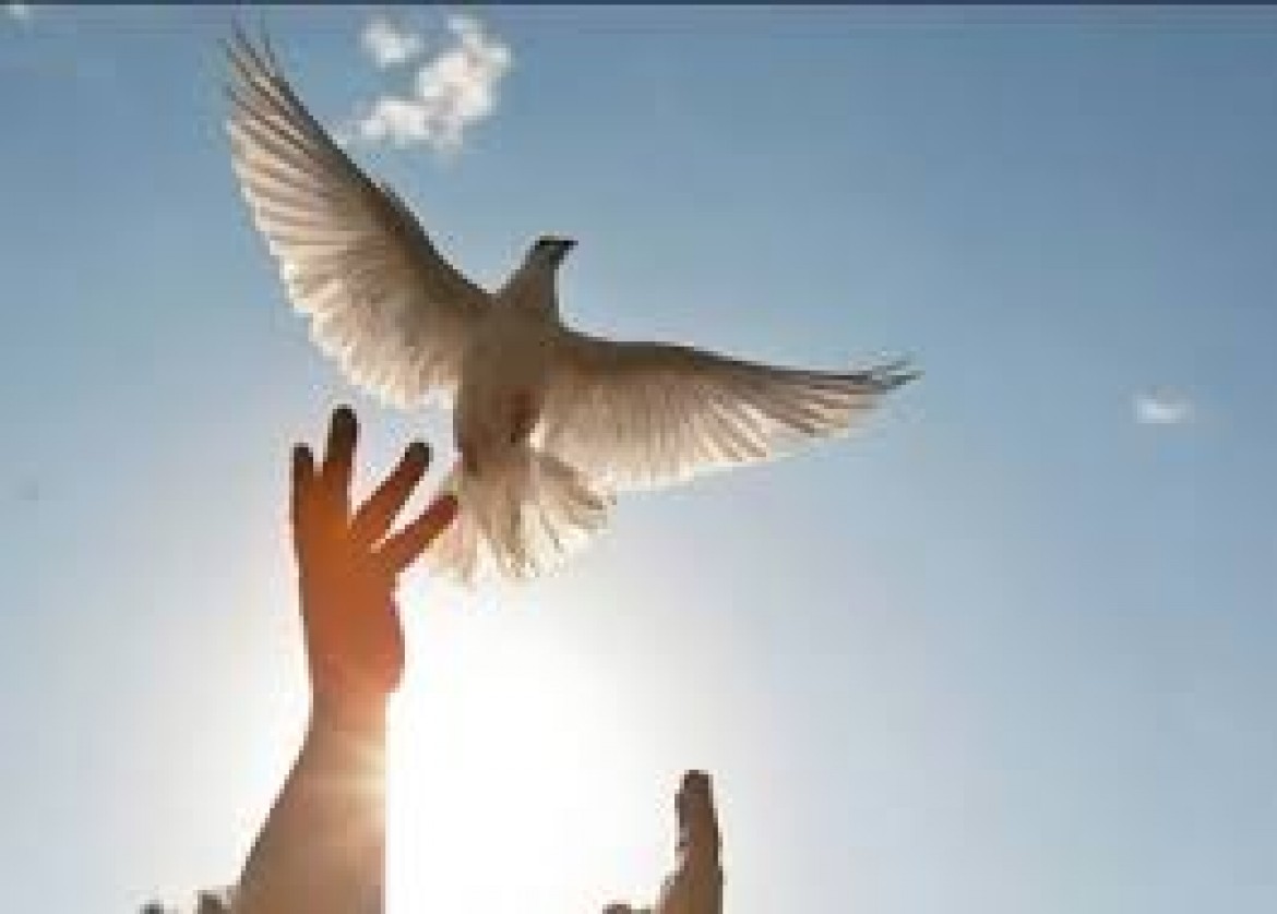 الاحتلال يفرج عن الأسير المقدسي ناصر صيام