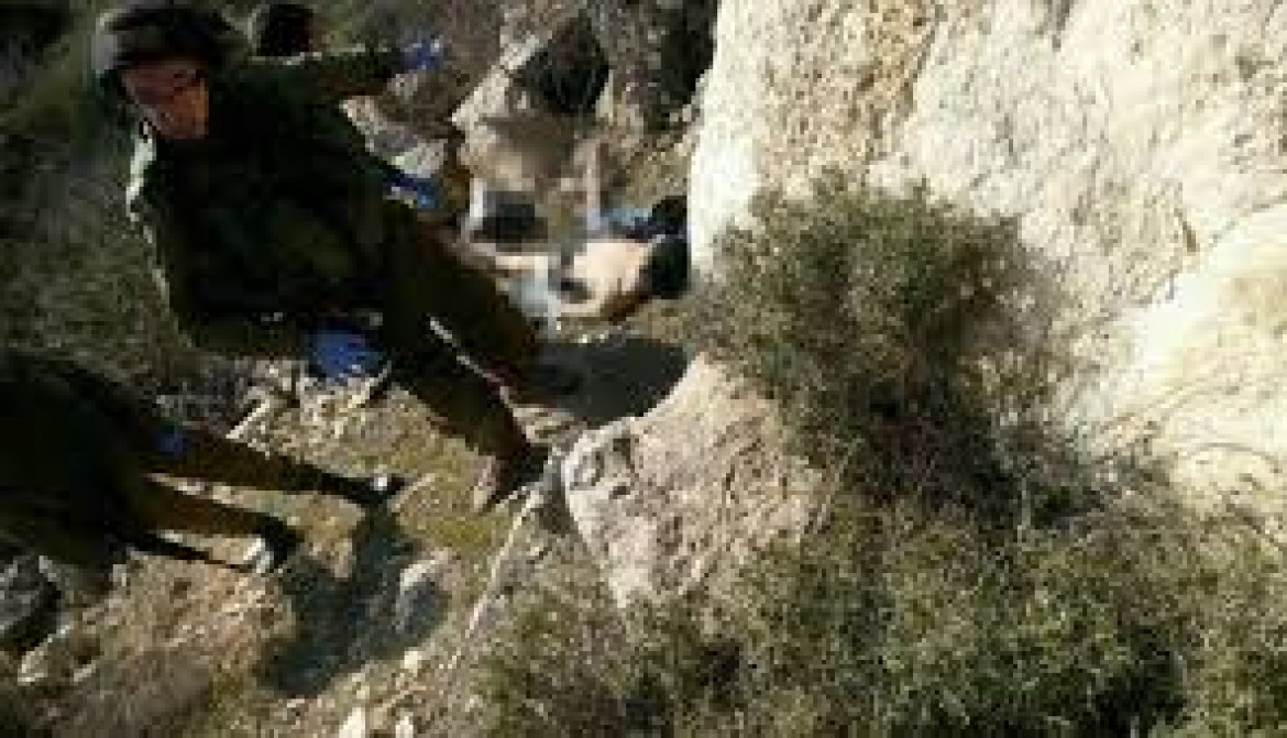 الشهيد هيثم البو