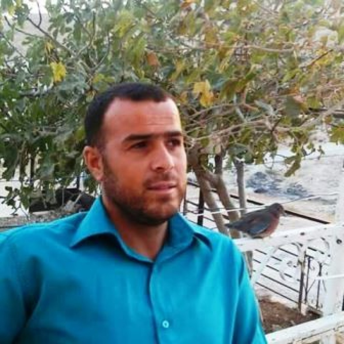 الاسير ايوب العصا