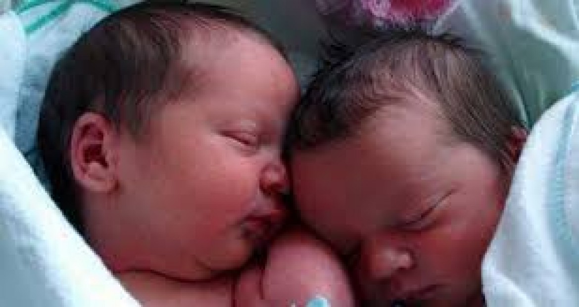 المحرر الجعبة يرزق بتوأم