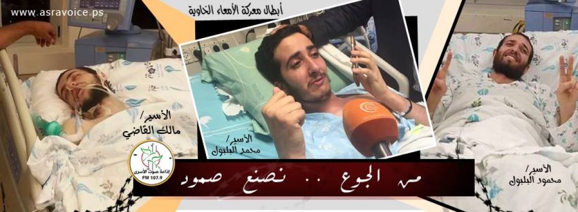 الاسرى المضربين