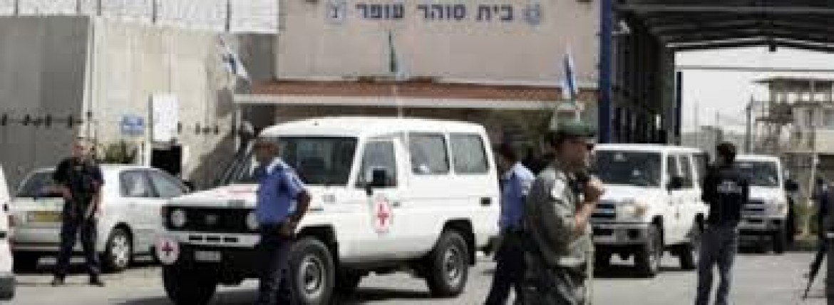 اسرى محررون