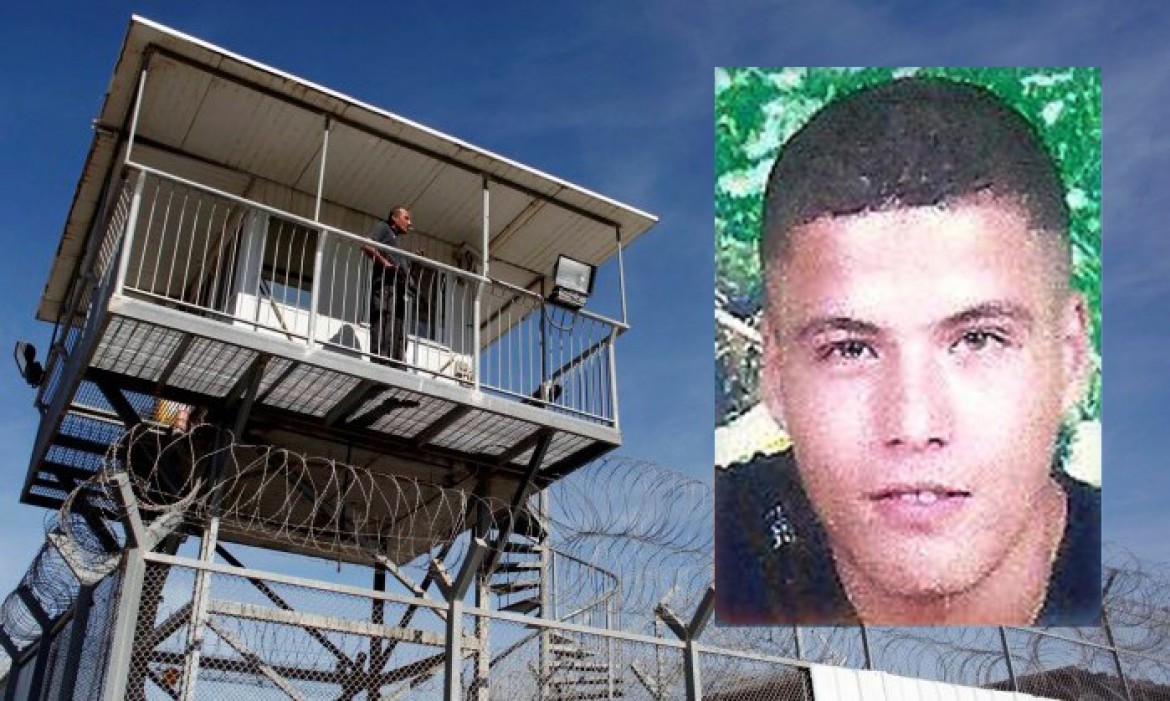 فارس السعدة