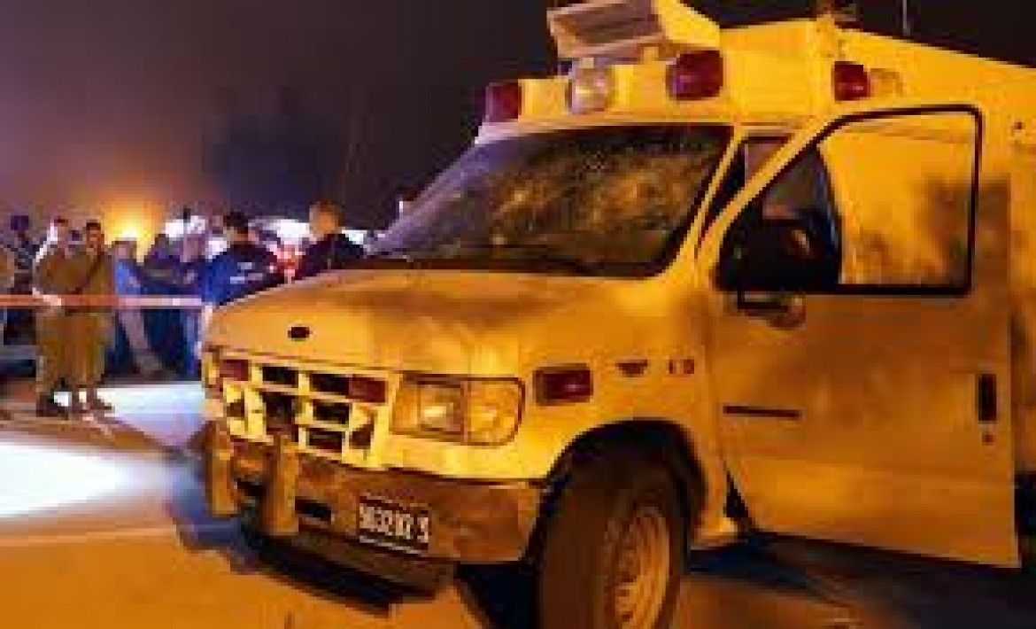 نقل العرابيد الى المستشفى7