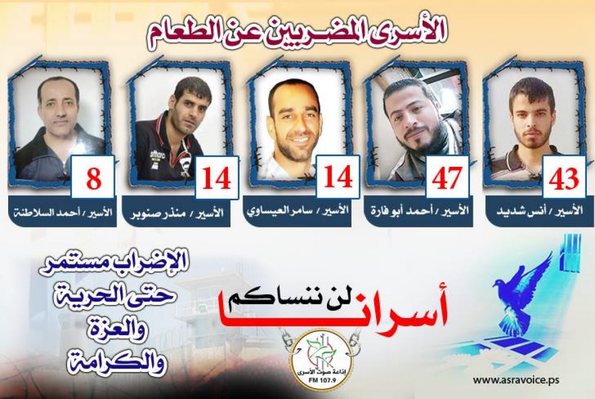 الاسرى المضربين 6-11