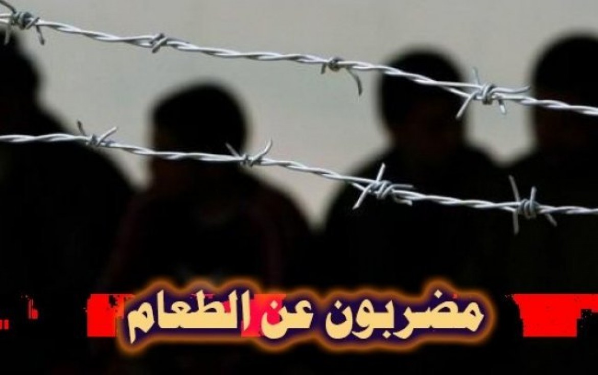 09156782077331566331140541322280