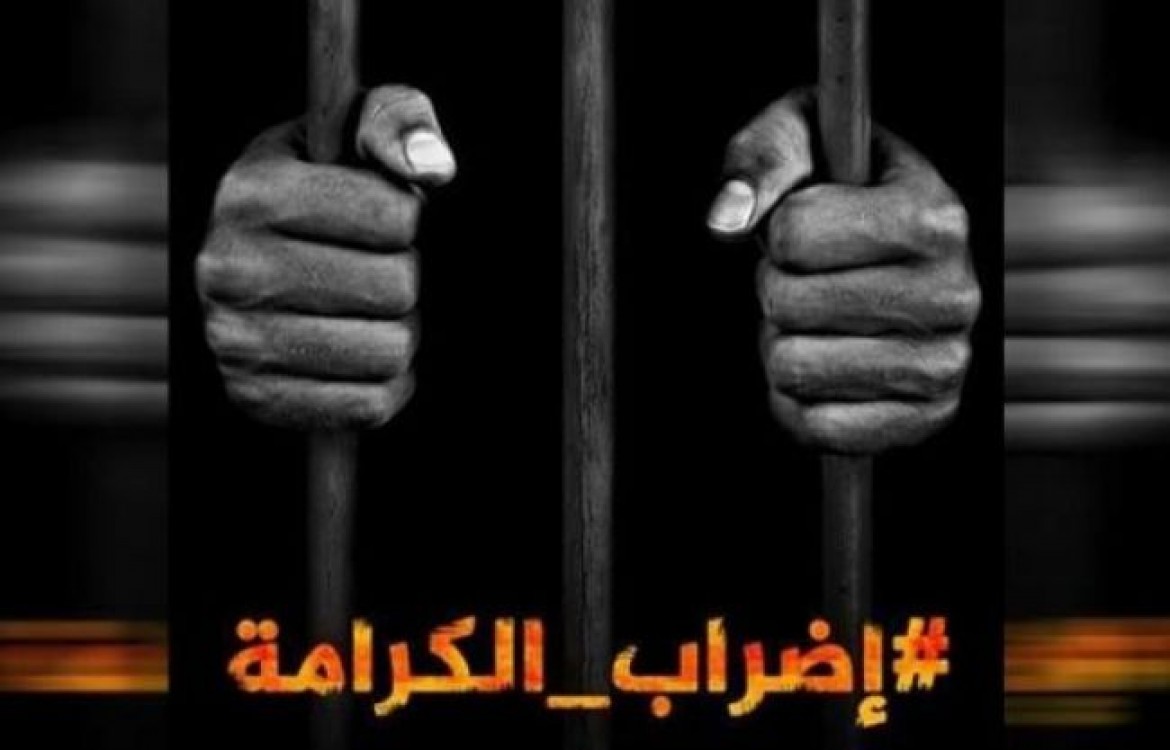 11178050734822295033773137033524