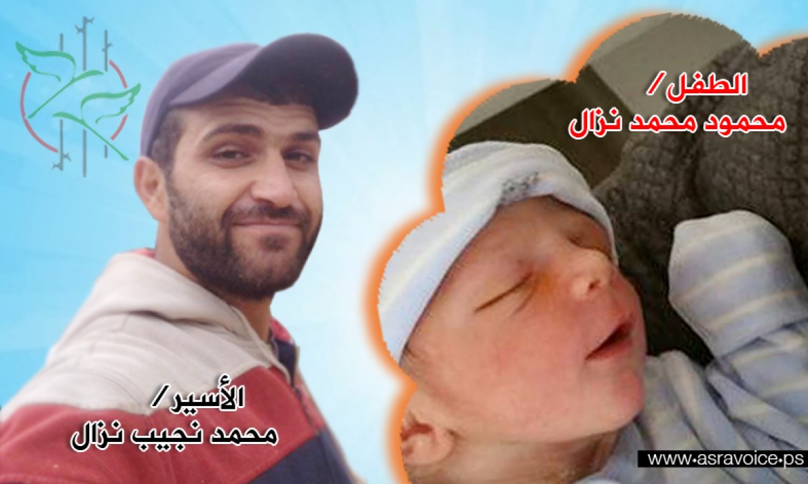 محمود ومحمد النزال