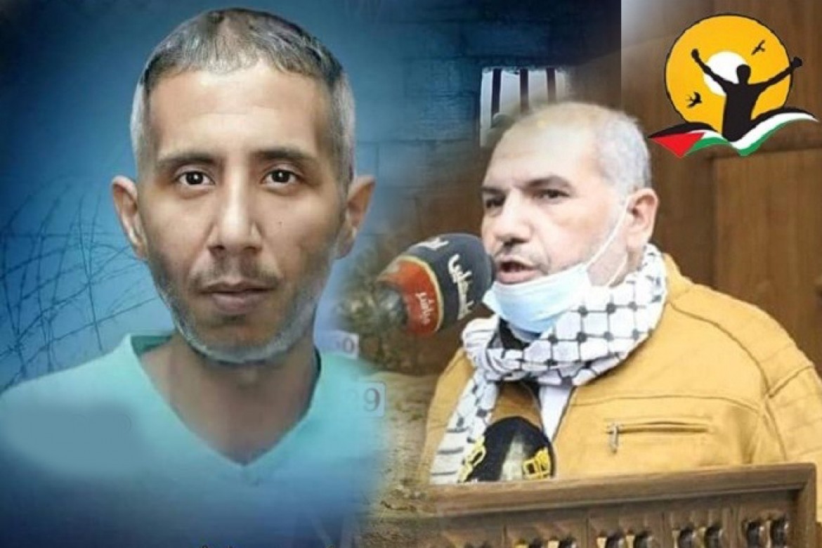 قنيطة - العمور