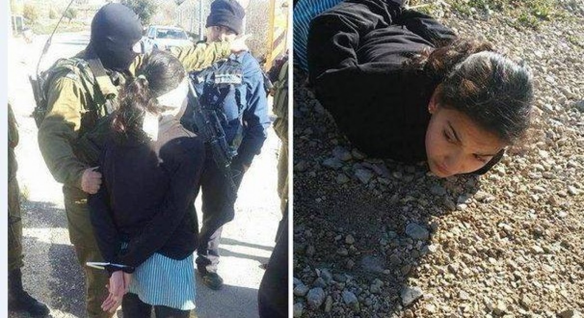 ديما الواوي