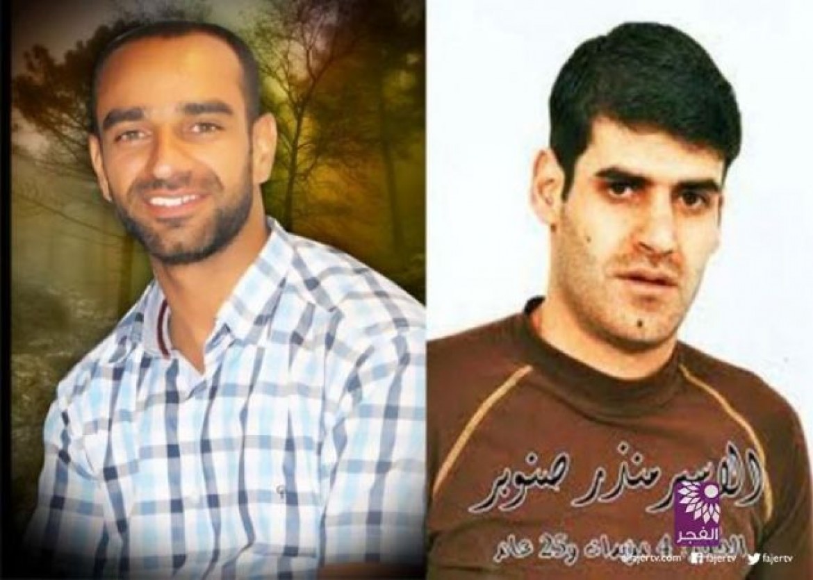 العيساوي, صنوبر