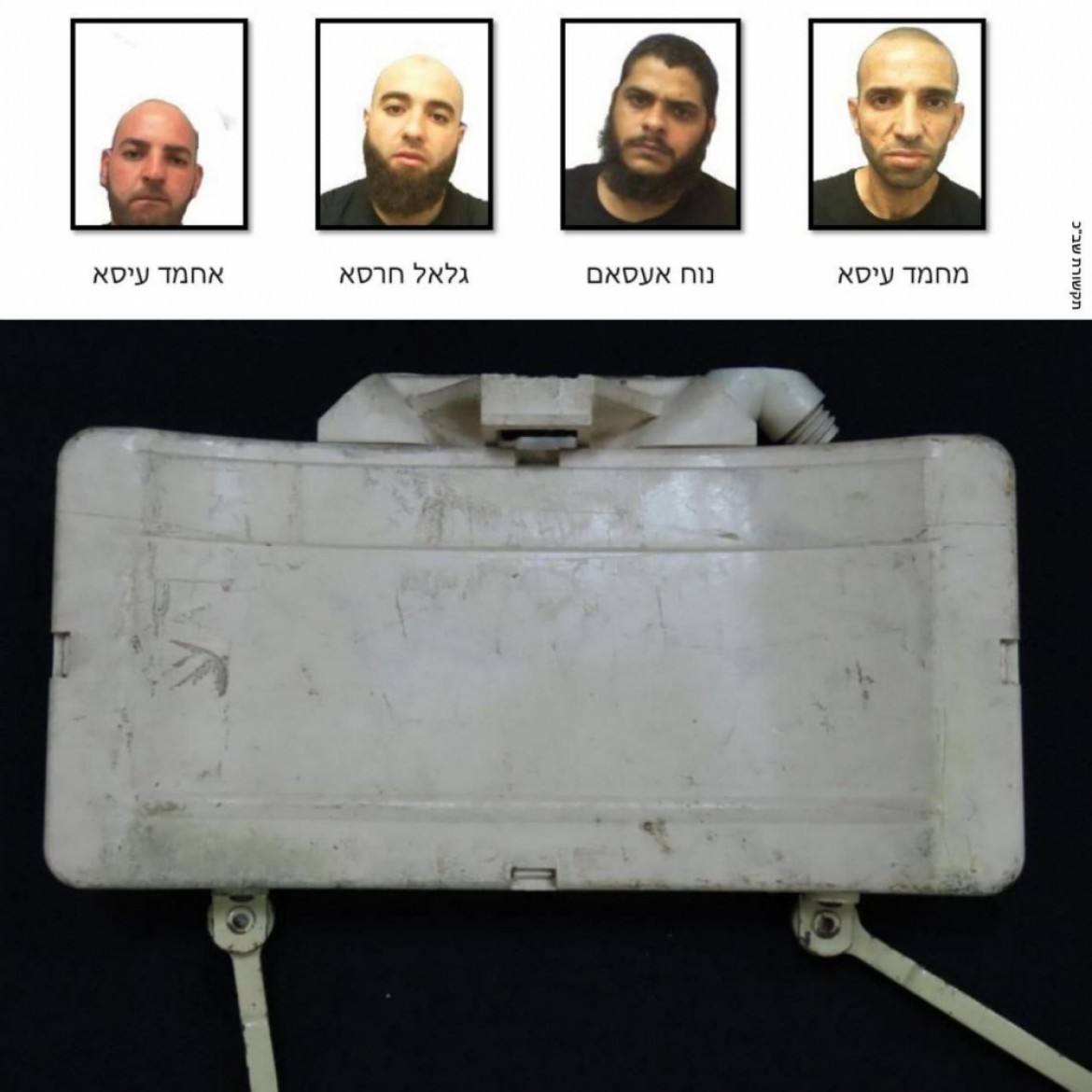 اعتقال خلية من اللد