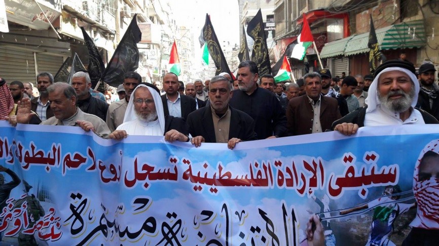 12380630_1041637819228583_695880765_o