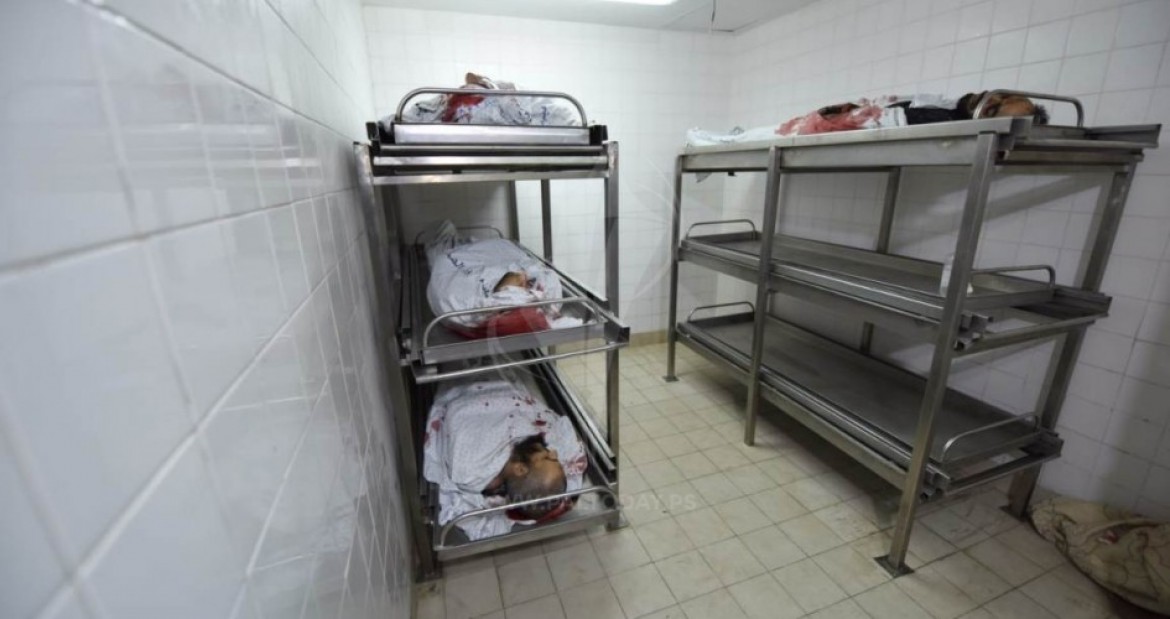 شهداء الأمس