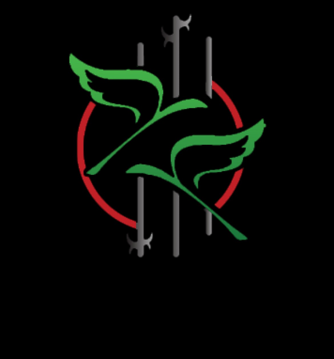 إذاعة صوت الأسرى