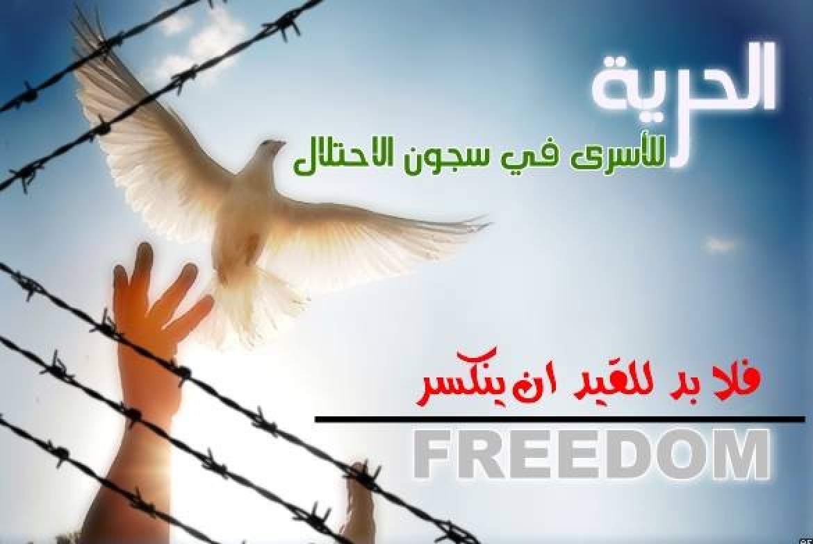 1455087_630363207010016_180535580_n