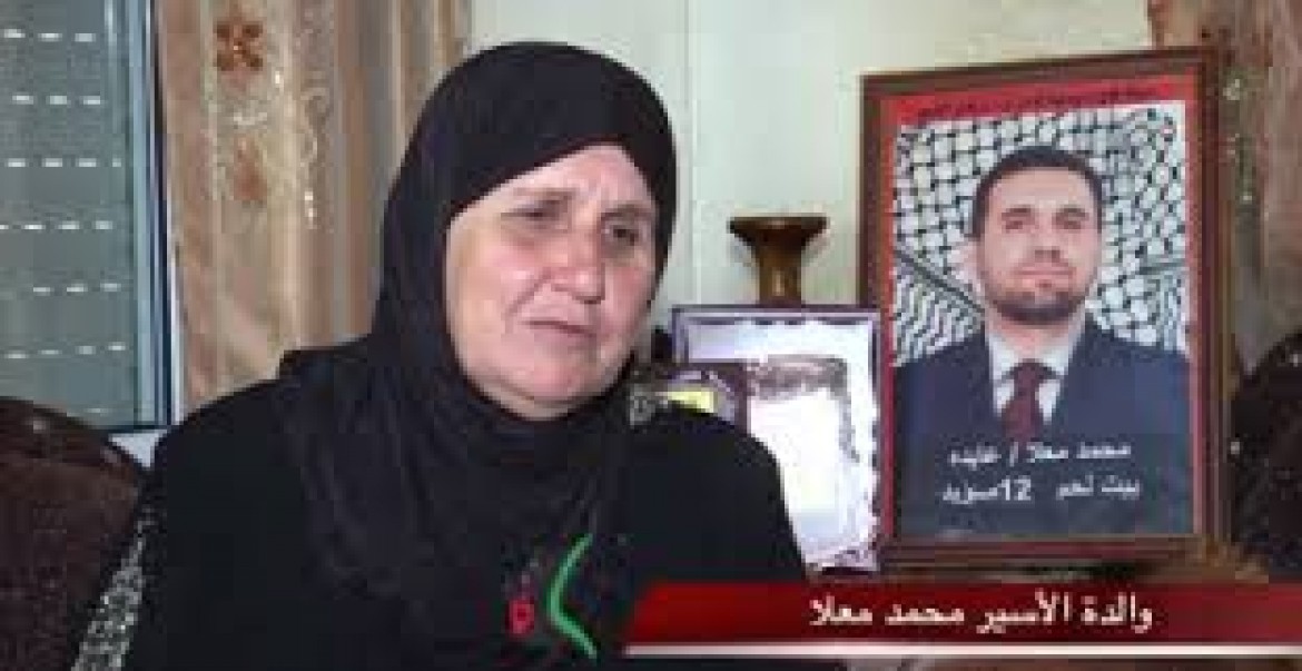 والدة الاسير محمد معلا