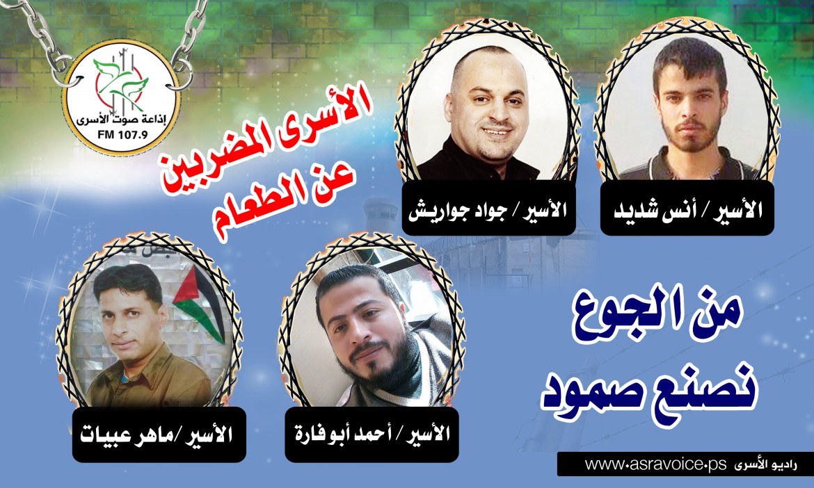 مضربين جديد