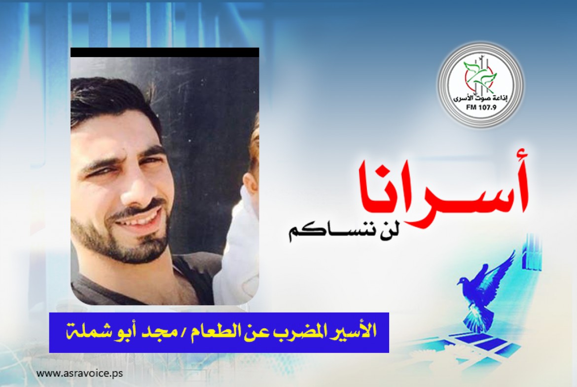 الأسير مجد أبو شملة