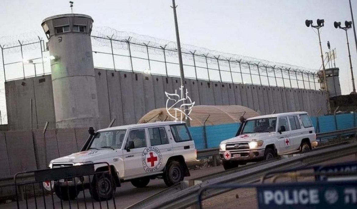 الصليب الأحمر في غزة: نتواصل مع سلطات الاحتلال لاستئناف زيارة المعتقلين