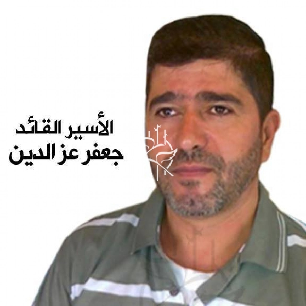 2015-10-08_591297477